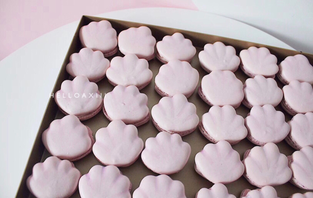 贝壳海星造型马卡龙