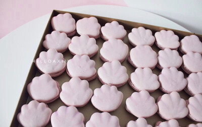 贝壳海星造型马卡龙