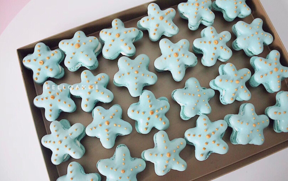 贝壳海星造型马卡龙