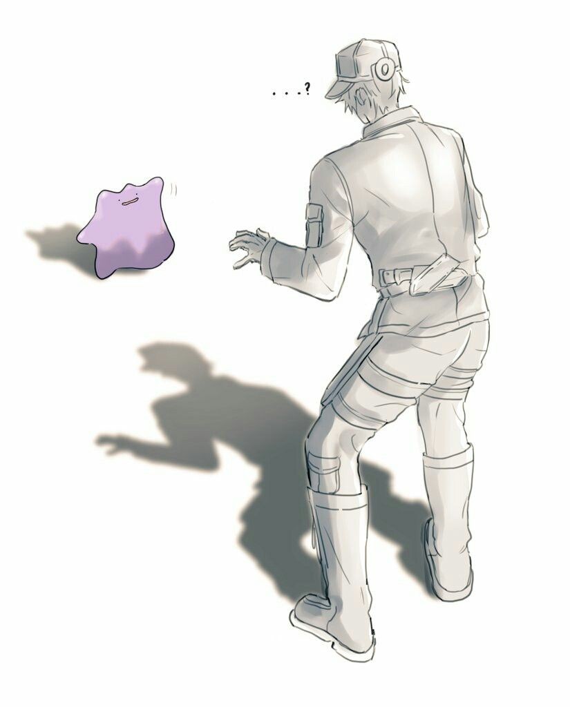 工作细胞-白细胞