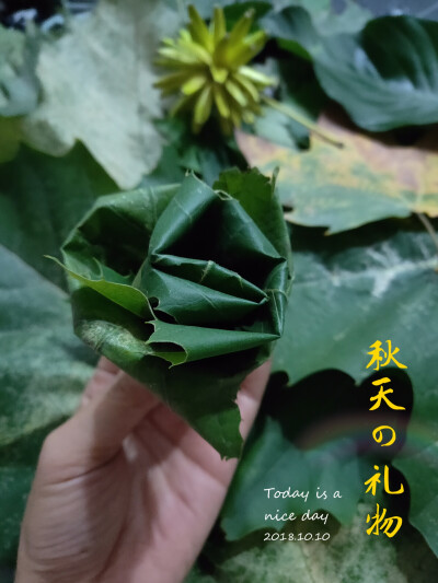 树叶花