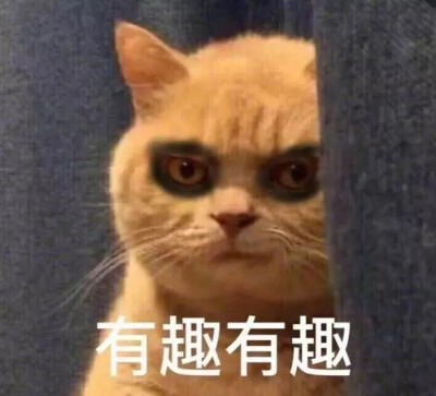 修仙