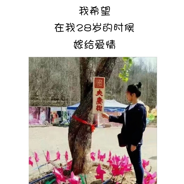 加油