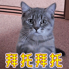 猫咪动图
