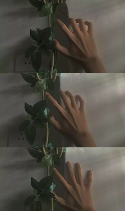 快乐的方式有很多种
最直接的，就是见到你
———出自网易云《送你一匹马》热评