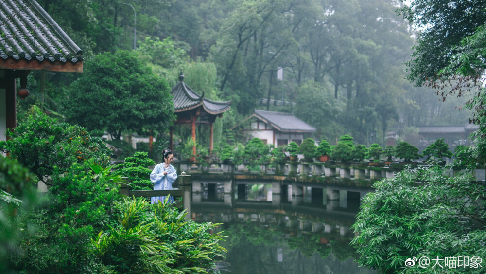 醉花阴
-李清照
薄雾浓云愁永昼，瑞脑消金兽。
佳节又重阳，玉枕纱厨，半夜凉初透。
东篱把酒黄昏后，有暗香盈袖。
莫道不销魂，帘卷西风，人比黄花瘦。
摄影：@大喵印象 ​