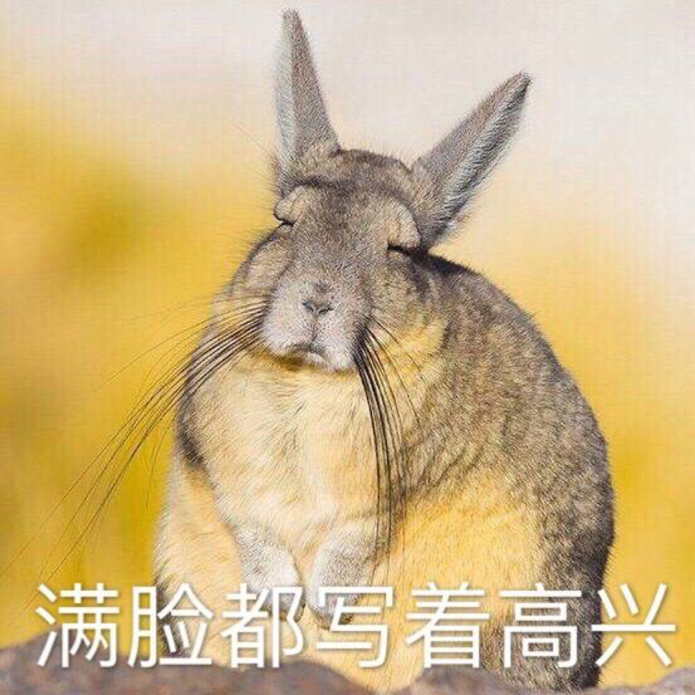 快乐图