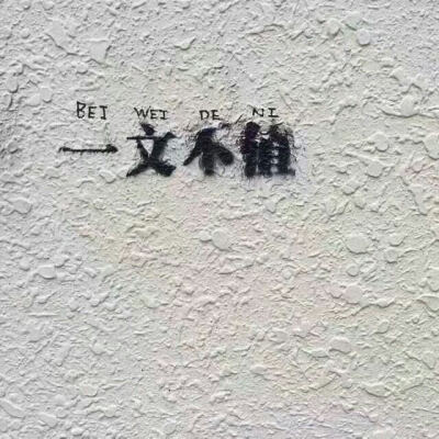 背景图 ☪