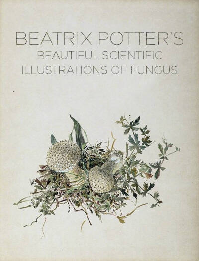 100多年前《彼得兔》的作者 Beatrix Potter 绘制的蘑菇笔记。 ​​​