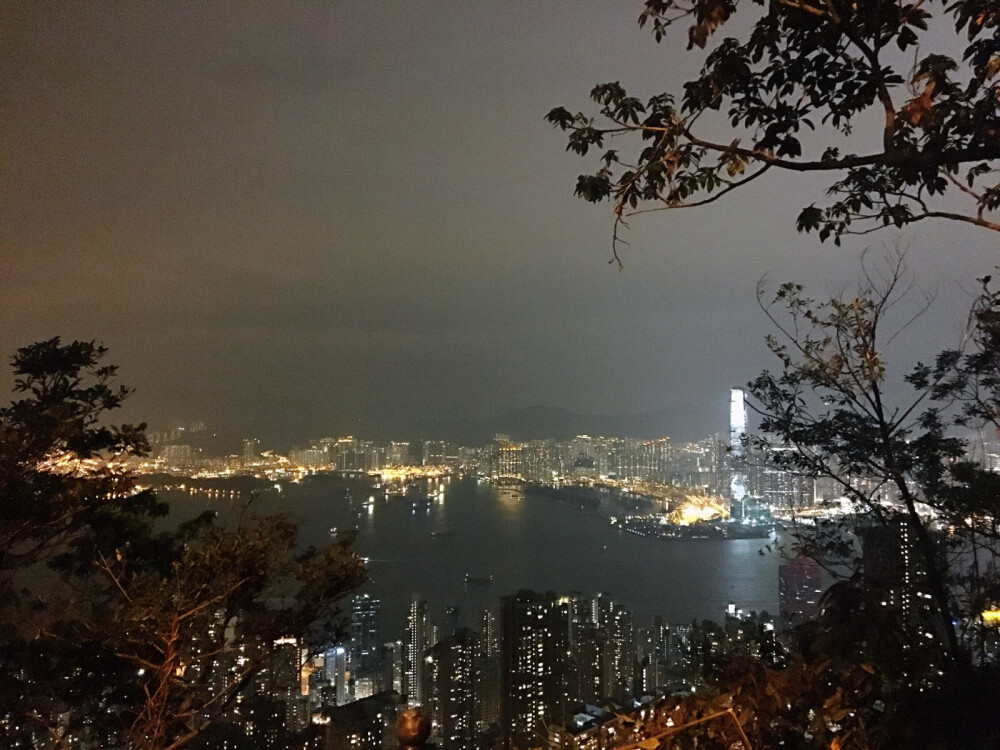 太平山顶夜景