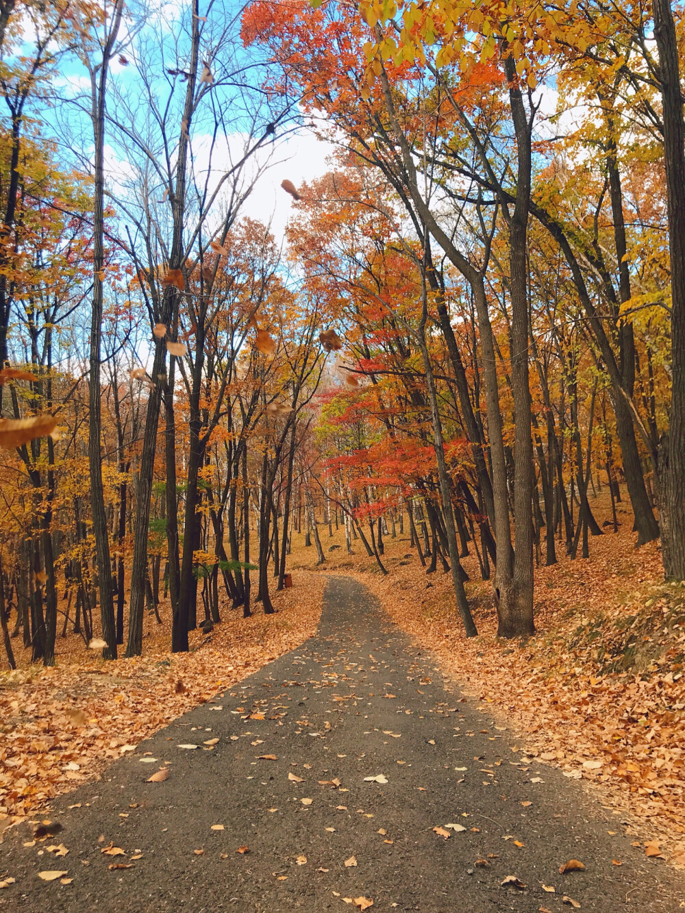 这次是休假回家，跟朋友一起去阿城区的皇家鹿苑赏秋景