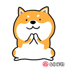 68宠物APP微信QQ搞笑萌宠物动态表情：谢谢
