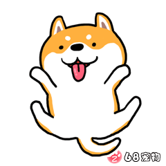 68宠物APP微信QQ搞笑萌宠物动态表情：抱抱