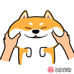 68宠物APP微信QQ搞笑萌宠物动态表情：捏脸