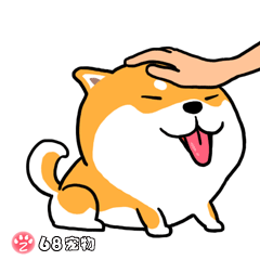 68宠物APP微信QQ搞笑萌宠物动态表情：摸摸