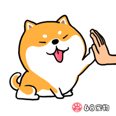 68宠物APP微信QQ搞笑萌宠物动态表情：击掌