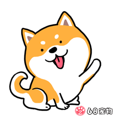 68宠物APP微信QQ搞笑萌宠物动态表情：打招呼，嗨！
