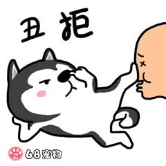 68宠物APP微信QQ搞笑萌宠物动态表情：丑拒