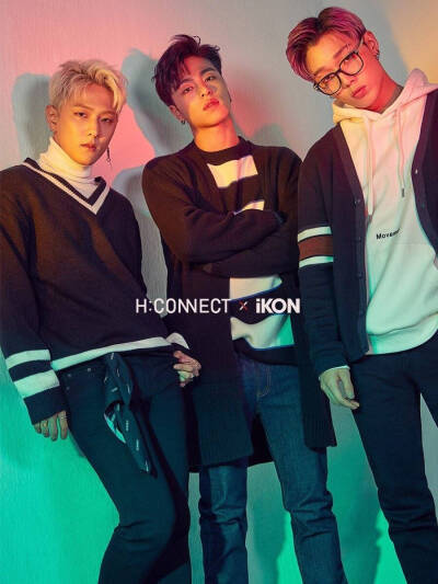 ikon