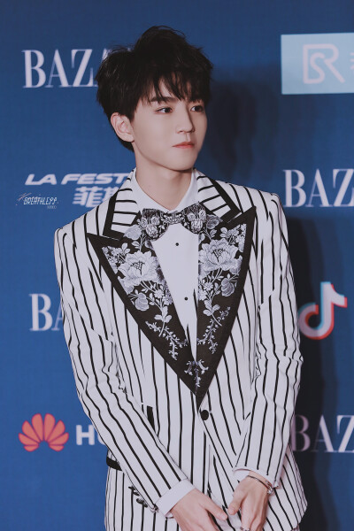 2018王俊凯BAZAAR明星慈善夜 cr.logo