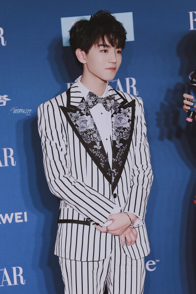 2018王俊凯BAZAAR明星慈善夜 cr.logo