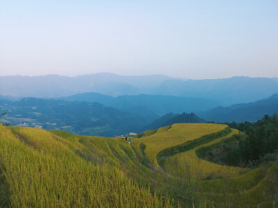 龙胜龙脊梯田