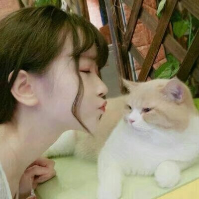 猫系头像 女