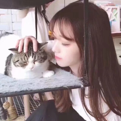 猫系头像 女