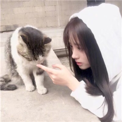 猫系头像女