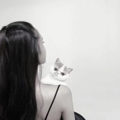 猫系头像女