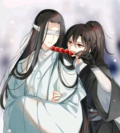 二次元#小说#魔道祖师#晓星尘#薛洋#薛成美