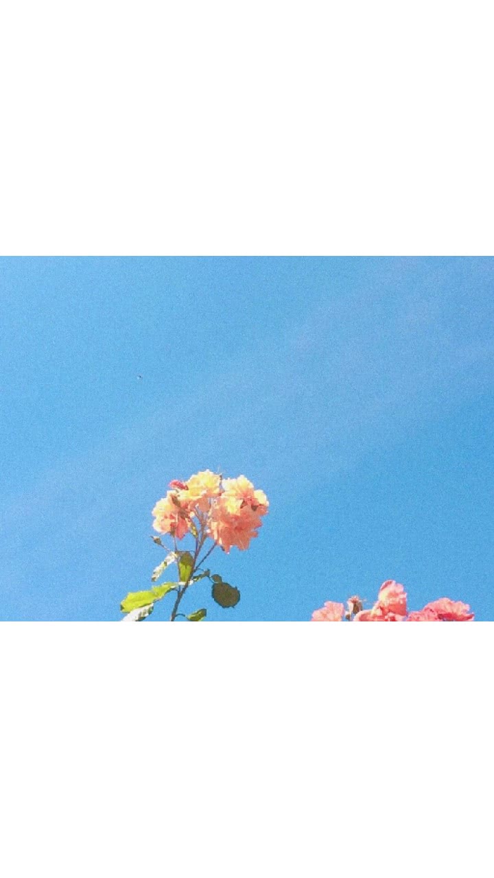 墨青.
我是你的小丑八怪