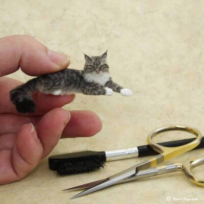 难以置信超逼真的微缩模型by/FB/Kerri Pajutee Miniature Animals ?