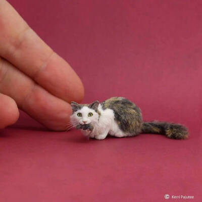 难以置信超逼真的微缩模型by/FB/Kerri Pajutee Miniature Animals ?