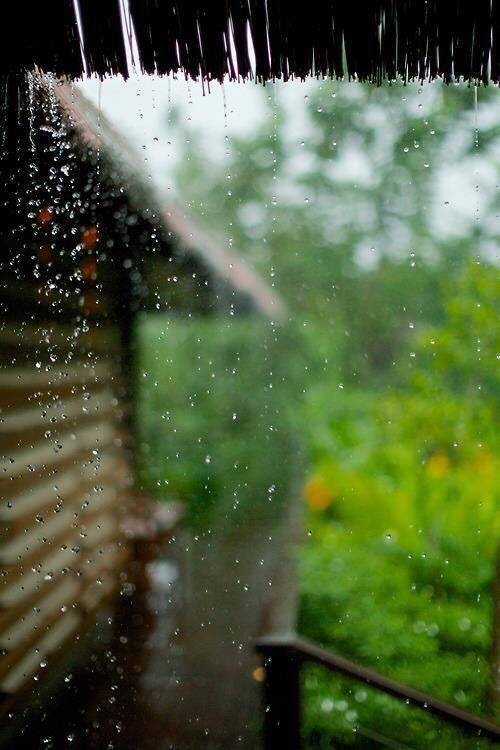 细雨婆娑梦渐凉，西风乍起乱秋裳。门前柳未添金色，月下荷今落玉妆。扫尽铅华迎菊客，抽离酷热待寒霜。年年四季年年冷，不见离人见旧觞。 ​