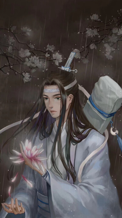 魔道祖师 魏无羡 夷陵老祖 蓝忘机