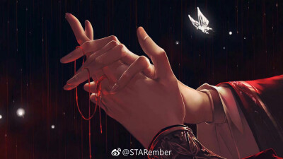 天官赐福 花怜红色系
crwb：STARember