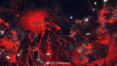 天官赐福 花怜红色系
crwb：STARember