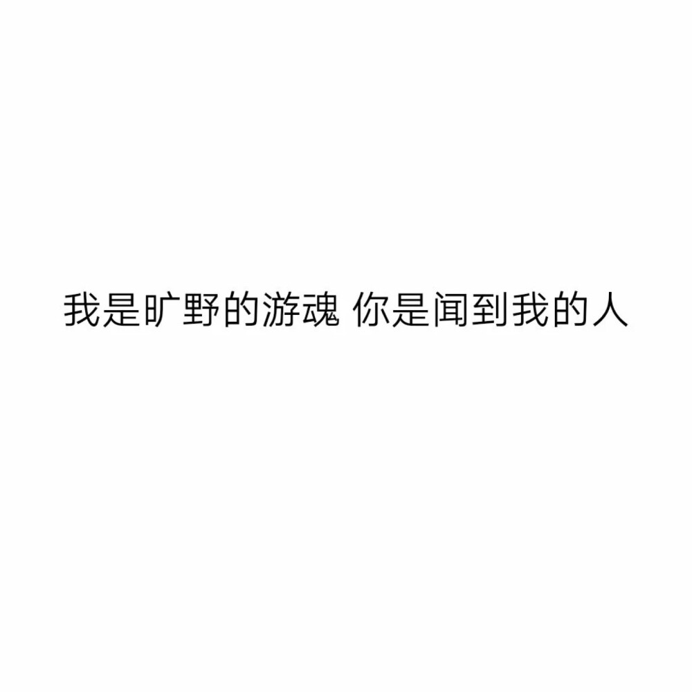 我是狂野的游魂 你是闻到我的人