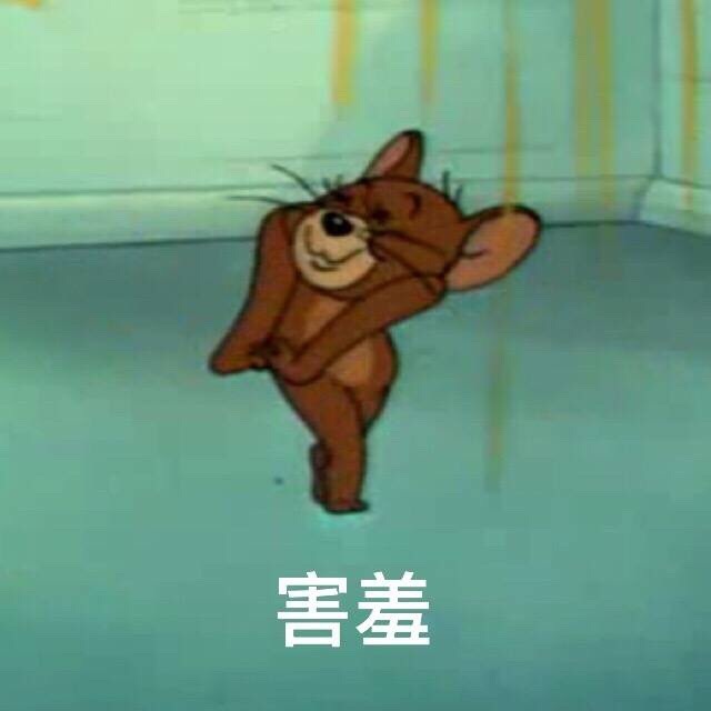 猫和老鼠