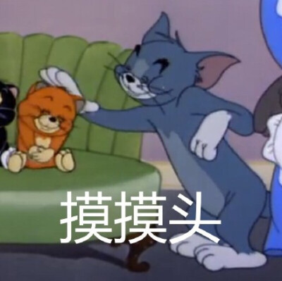 猫和老鼠