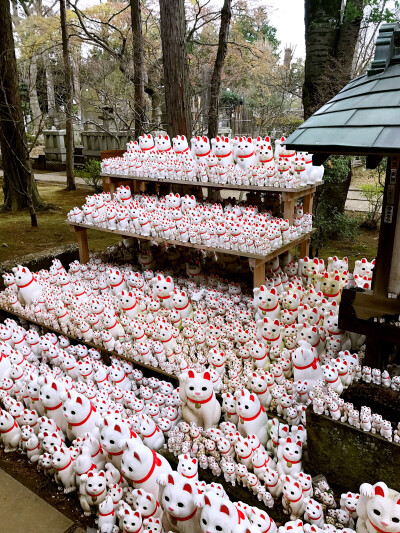 招财猫寺