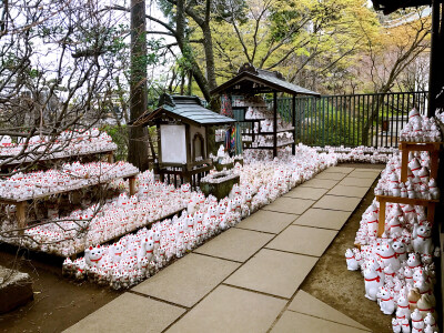 招财猫寺