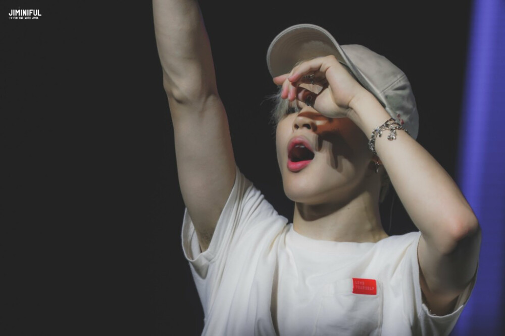 朴智旻jimin旻旻糯米团子chimchim