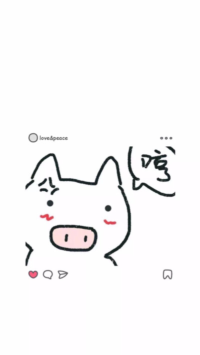 纯分享