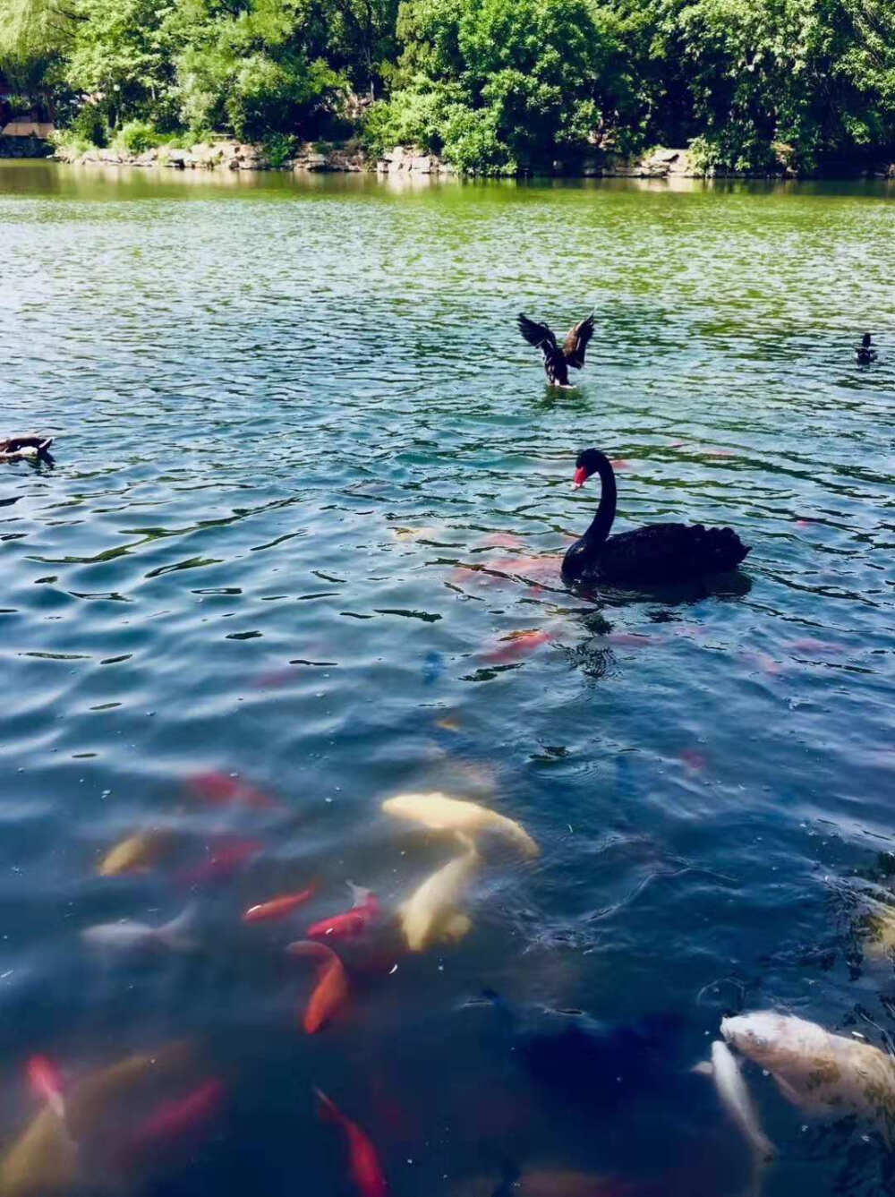 旅行中遇到的各种美景，是由不同颜色编织出的美。国庆假期刚结束，你都拍摄了什么美景？荣耀9i发现颜色之美活动正在火热进行中，发布微博晒出含有青色或紫色元素的旅行照片，加上#荣耀9i# 和#发现颜色之美# 话题 ，将抽取3名用户赠送荣耀9i一部。赶快发微博晒出参与活动吧！ ​