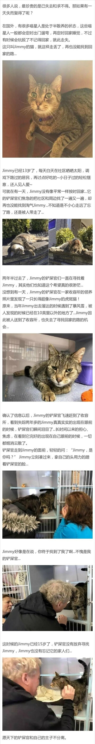 这只15岁的猫走失了两年半，却又奇迹般的被铲屎官寻回...当铲屎官小心翼翼地说:&quot;Jimmy，是你吗？&quot;的时候，Jimmy的举动让人泪奔... ​​​​