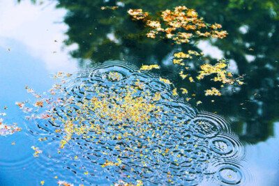 雨打秋桂落，空山十里香。 ​