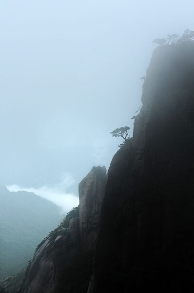 似惜雨晴天恰好，真忘名利日长闲。松筠不锁神仙境，携得烟霞满袖还。 ​