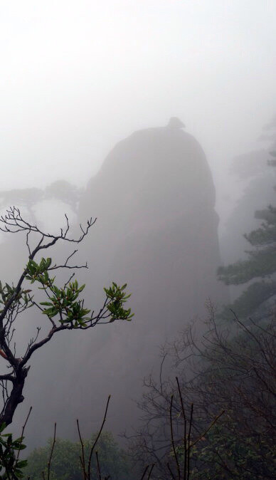 似惜雨晴天恰好，真忘名利日长闲。松筠不锁神仙境，携得烟霞满袖还。 ​